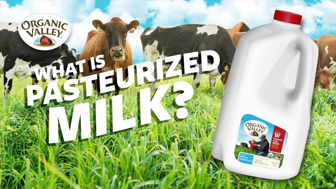 Differences between pasteurized milk and UHT milk