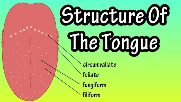 Grains on the tongue, how to remove them?