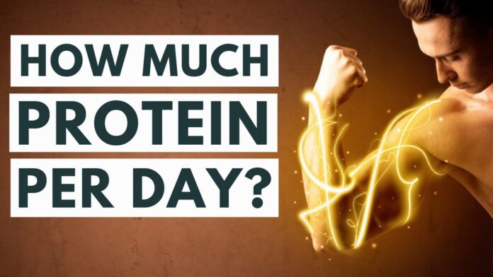 How much protein should we eat a day?