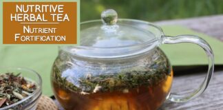 The best infusions to comfort you