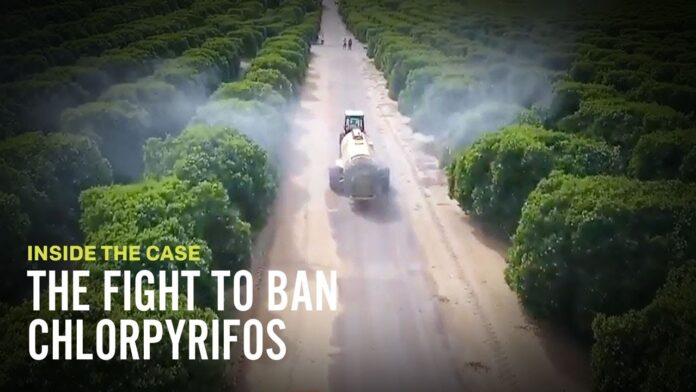 The European Commission prohibits chlorpyrifos