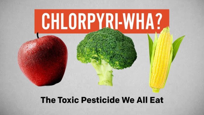 The insecticide chlorpyrifos is dangerous for health