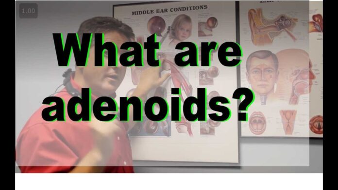 Vegetations or adenoids: what are they?